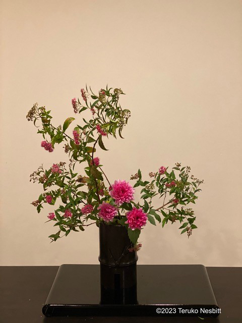 Cover Photo of Ikebana Arrangement: Courtesy Teruko Nesbitt (2023) 